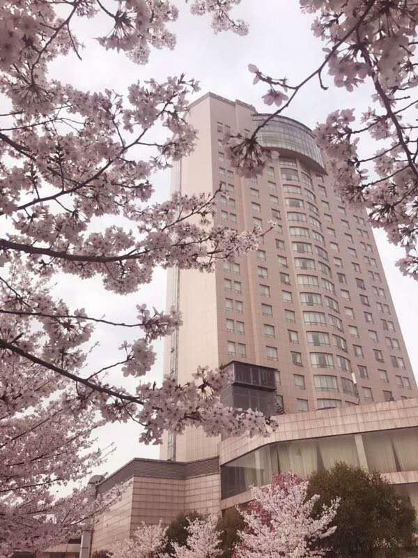 Xiongchu International Hotel Wuhan Esterno foto
